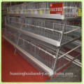 pyramid chicken cage for battery cage